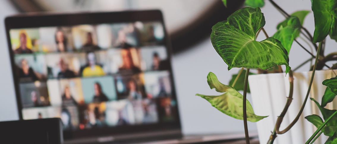 Up-close image of a plant in the foreground, with a laptop opened up to a video conferencing session in the background.