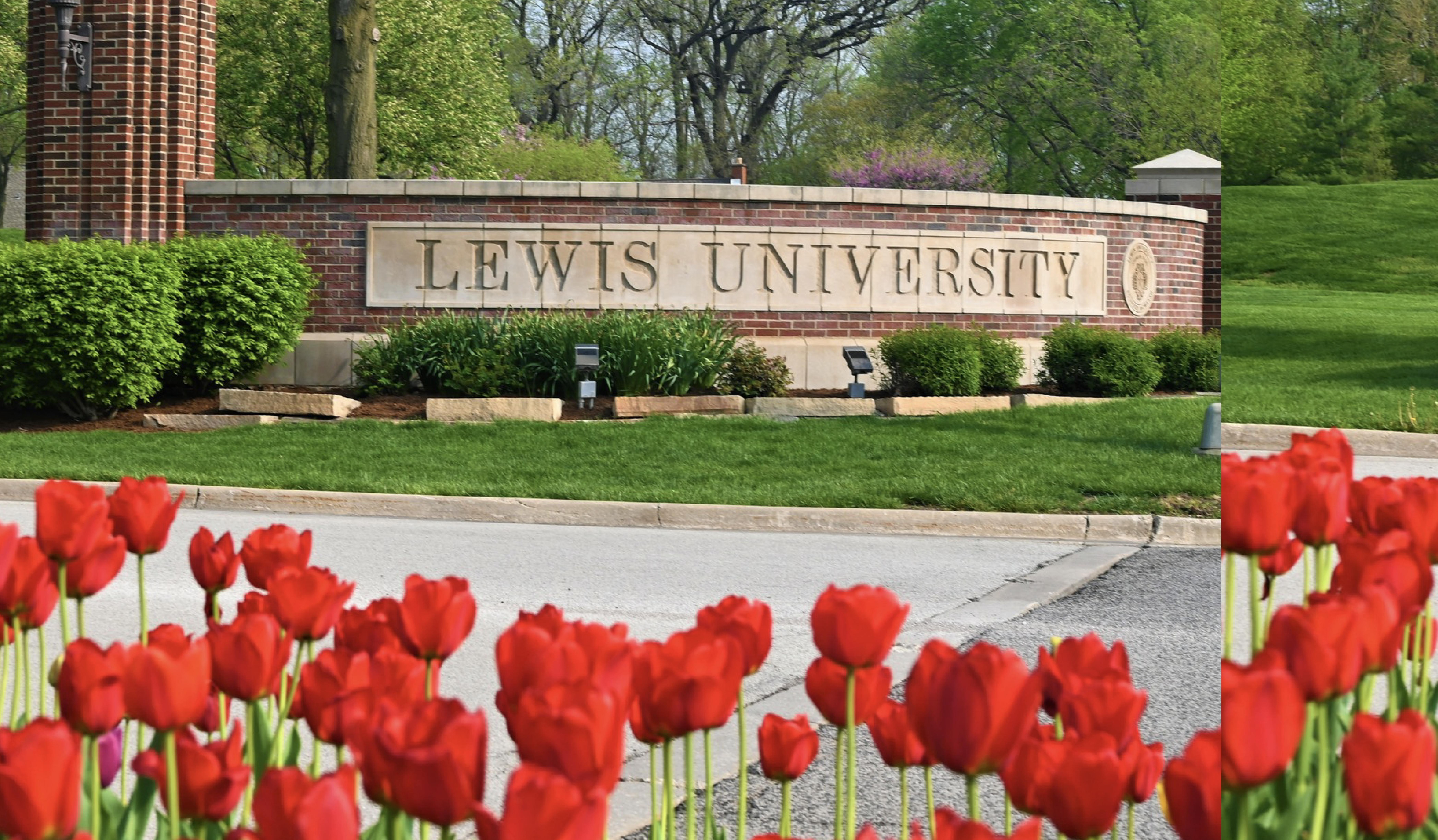 The Lewis University sign on a stone wall behind red tulips