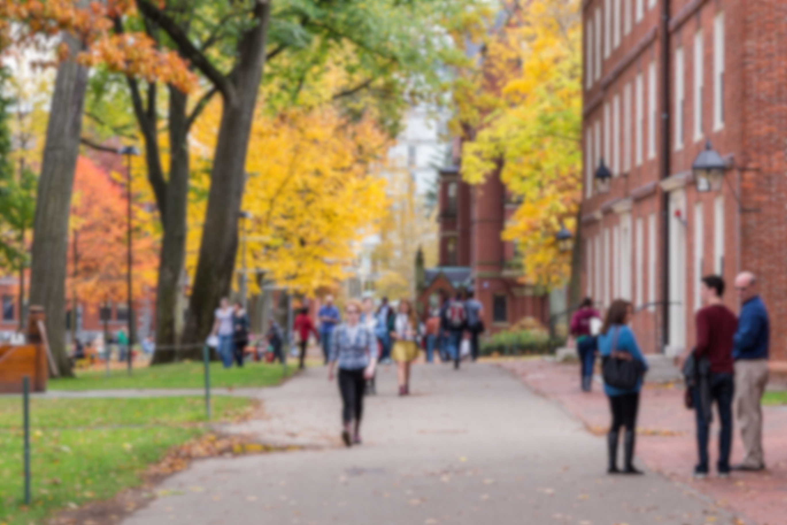 students on campus in the autumn